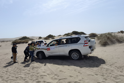 九游会·J9(中国游)官方网站-真人游戏第一品牌